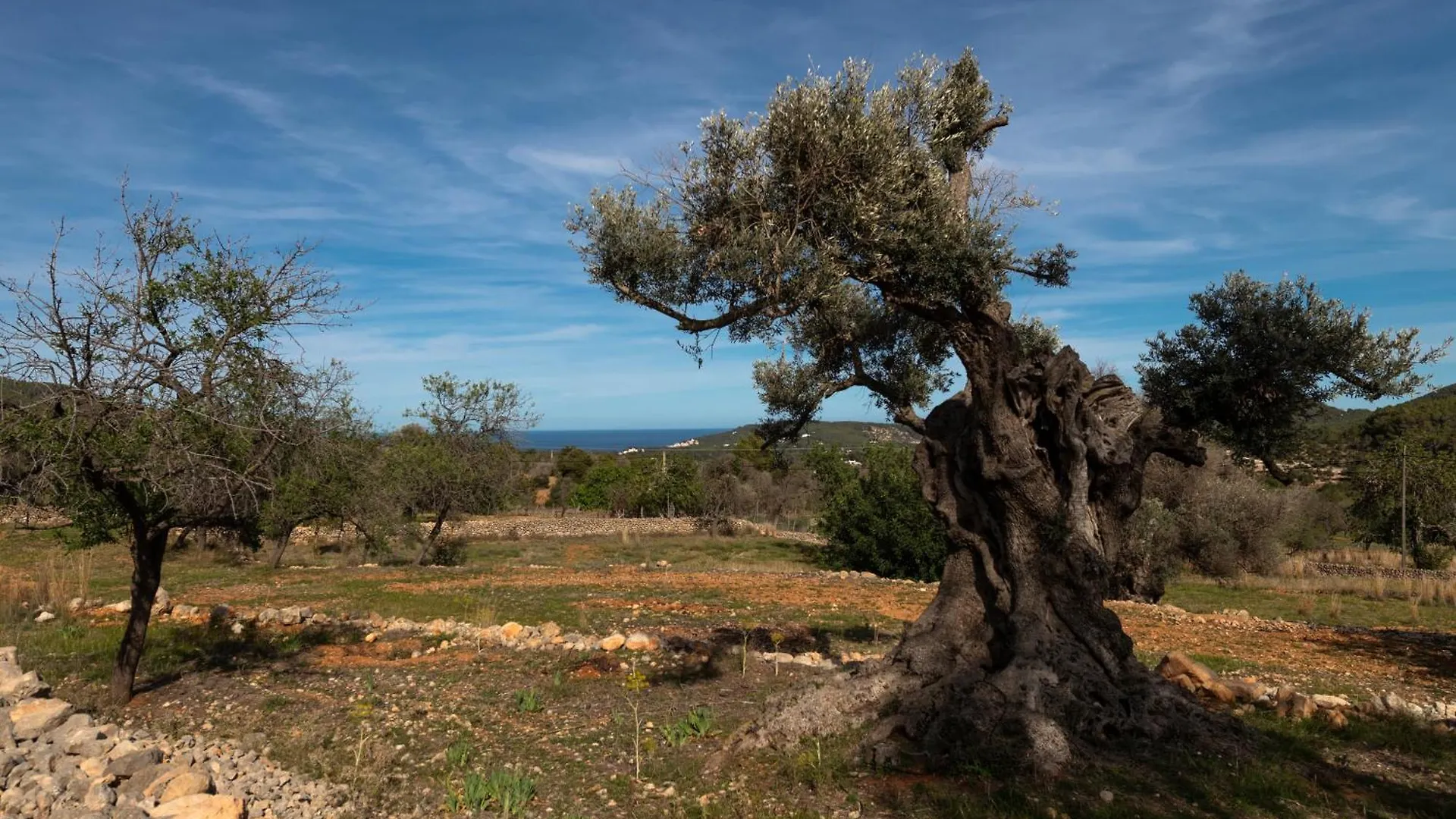 Agroturismo Rural Can Prats Sant Carles de Peralta 0*, Santa Eulària des Riu Spanien