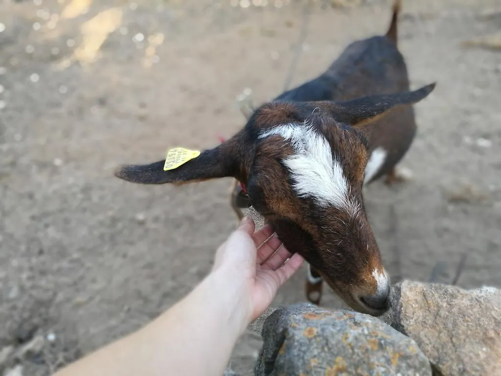 Agroturismo Rural Can Prats Santa Eularia des Riu