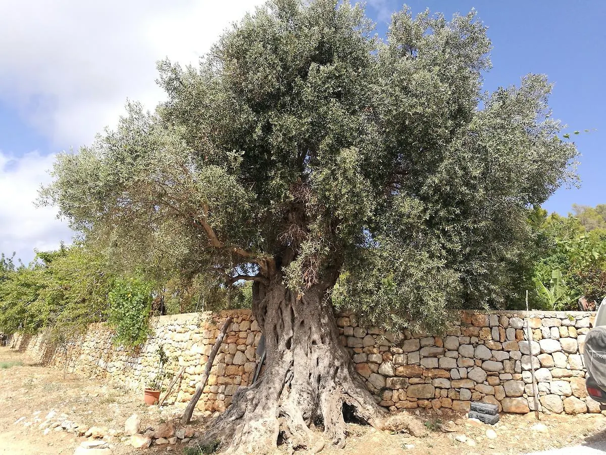 Agroturismo Rural Can Prats Sant Carles de Peralta 0*, Santa Eulària des Riu