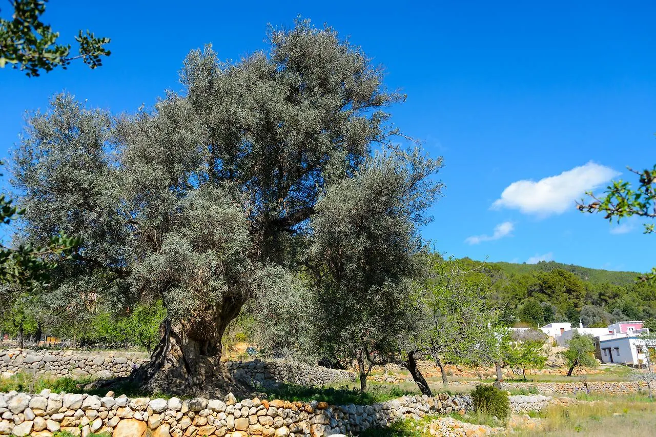 Agroturismo Rural Can Prats Sant Carles de Peralta 0*, Santa Eulària des Riu