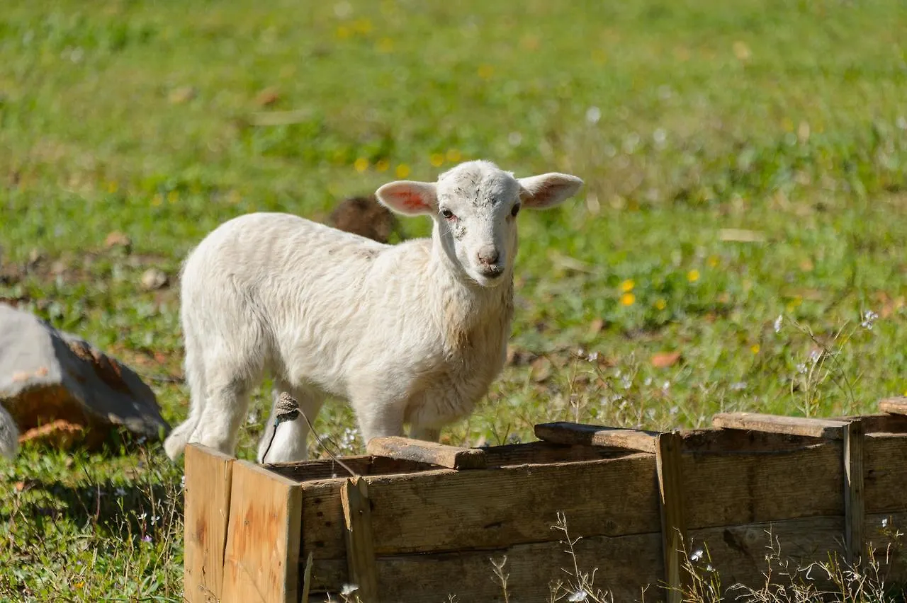 Agroturismo Rural Can Prats Sant Carles de Peralta Spanien
