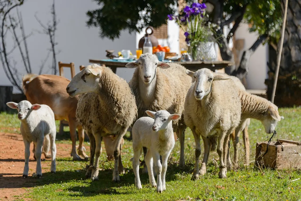 Agroturismo Rural Can Prats Sant Carles de Peralta 0*, Santa Eulària des Riu Spanien