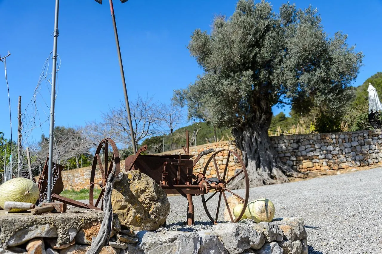Apartment Agroturismo Rural Can Prats Santa Eularia des Riu Spain